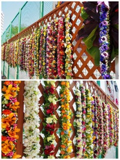22-04-28-00-18-44-238_deco.jpg