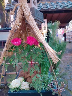 23-01-03-19-20-37-105_deco.jpg