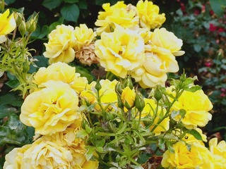 23-05-22-14-22-23-394_deco.jpg