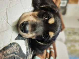 230720184230103.JPG