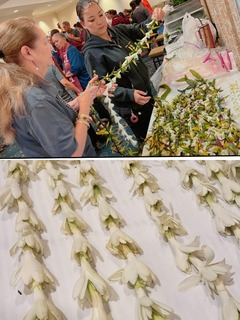 24-09-11-10-55-29-113_deco.jpg