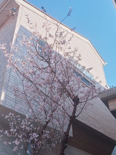 25-03-22-17-21-52-386_deco.jpg