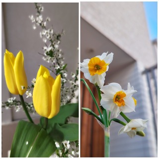 25-03-23-19-02-15-420_deco.jpg