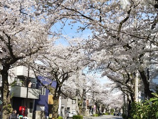 250406154007525.JPG