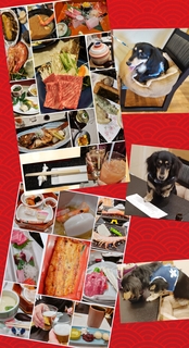 FotoGrid_20250108_203047589.jpg
